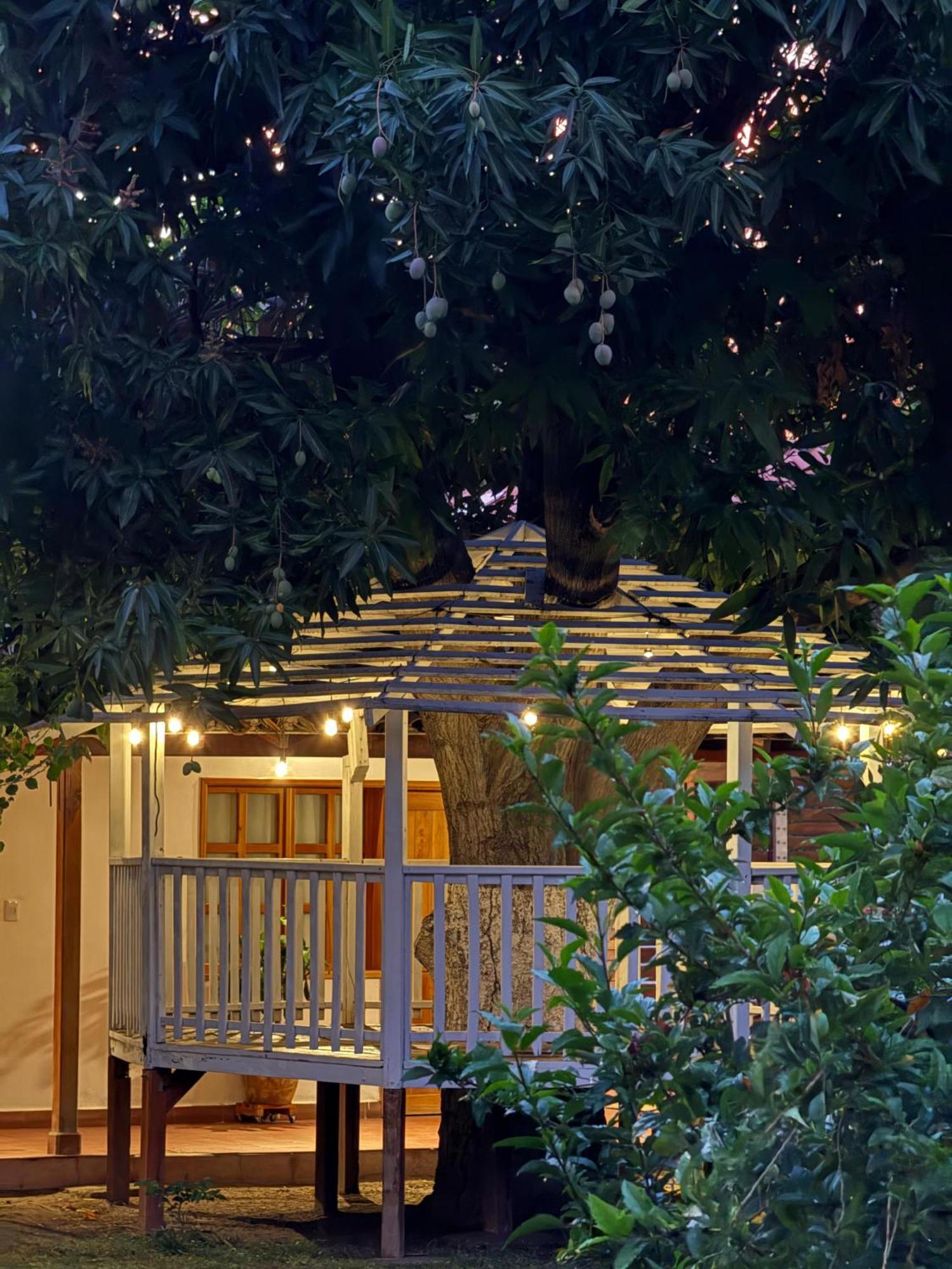 Hotel Jardin Boutique Rodadero Santa Marta  Eksteriør billede