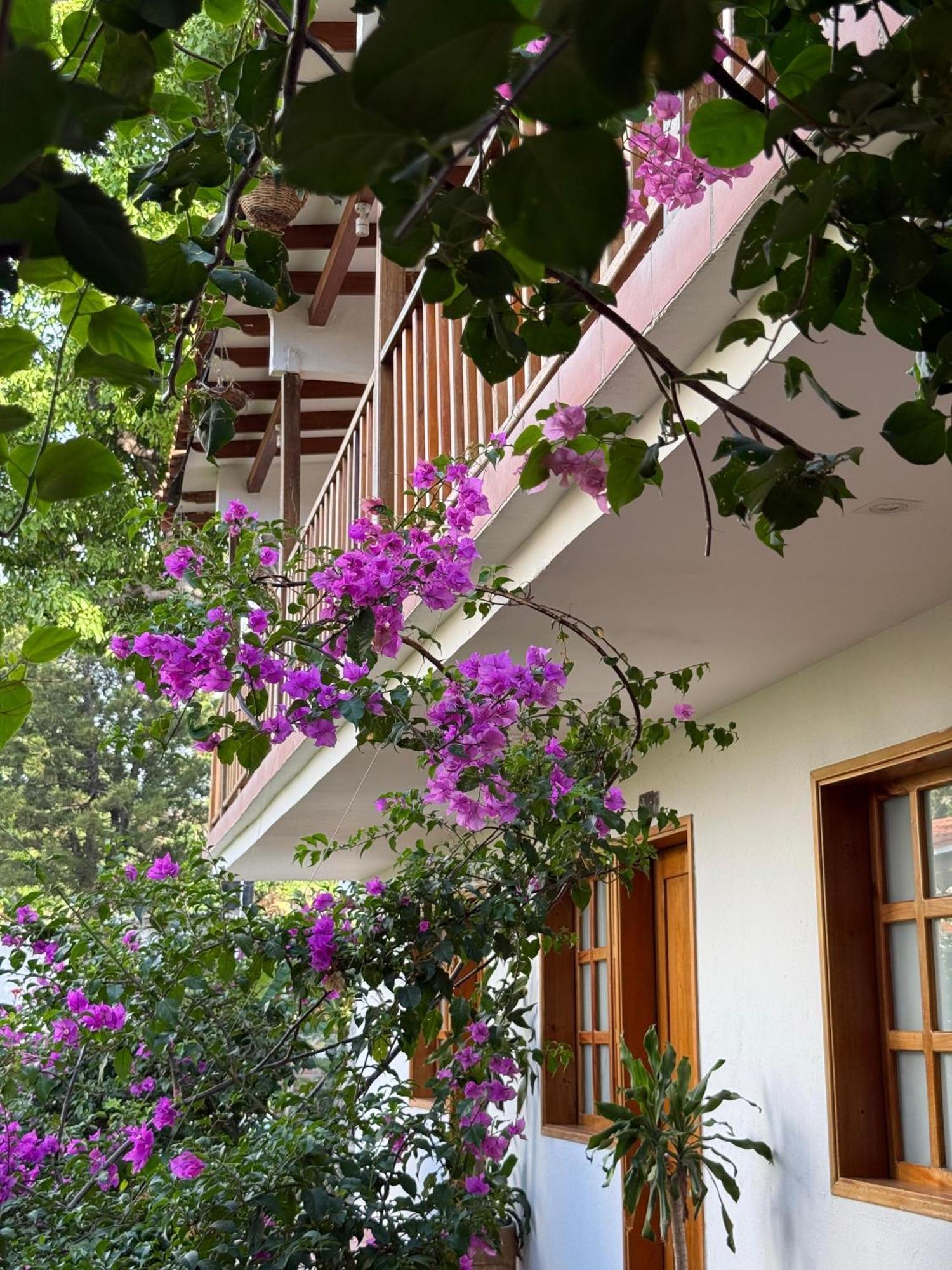 Hotel Jardin Boutique Rodadero Santa Marta  Eksteriør billede